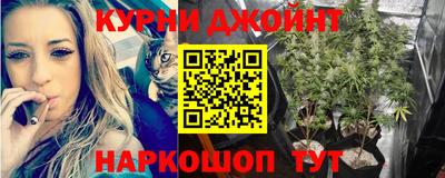 тгк Камышлов