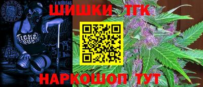 тгк Камышлов