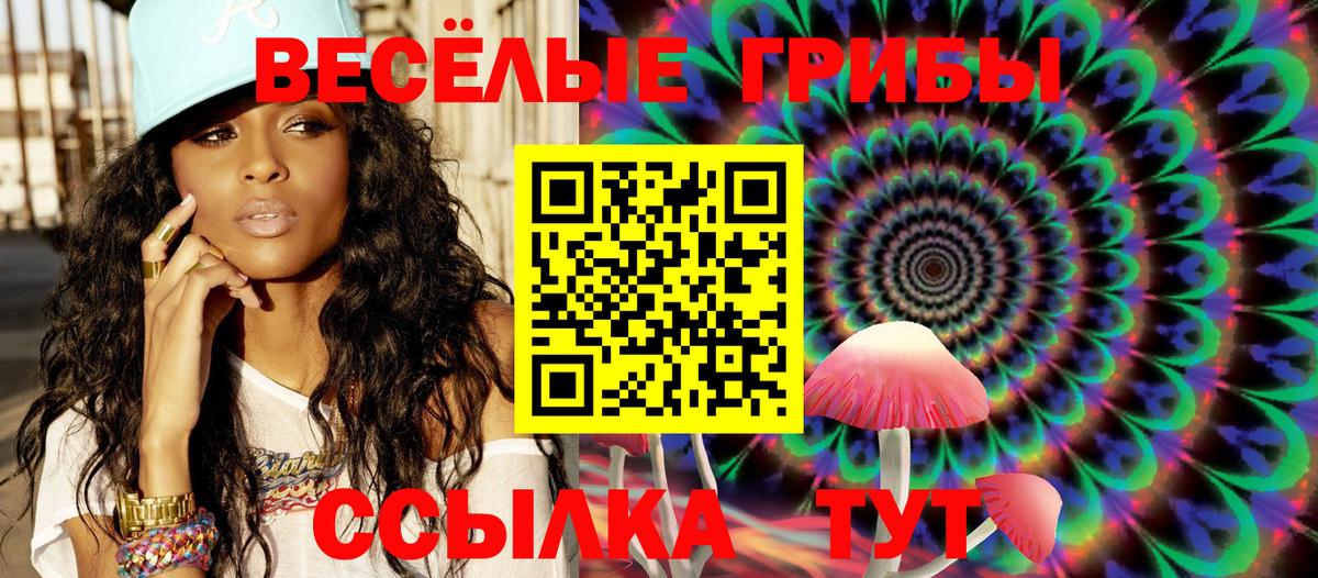 Галлюциногенные грибы Cubensis Кунгур