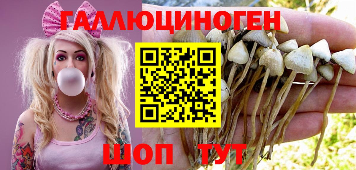 Кунгур  даркнет сайт  Вход с VPN  Псилоцибиновые грибы MAGIC MUSHROOMS  Галлюциногенные грибы Magic Shrooms 